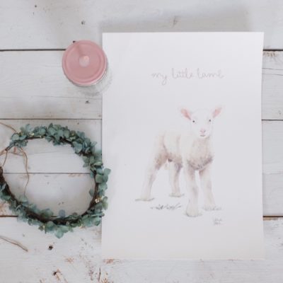 Ilustración corderito / ovejita