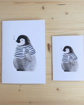 libreta pingüino BOLITA marinero