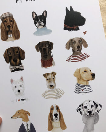 MIS PERROS FAVORITOS