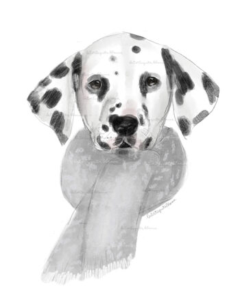 dalmata by la tortuguita blanca