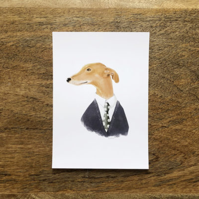 galgo inglés by la tortuguita blanca