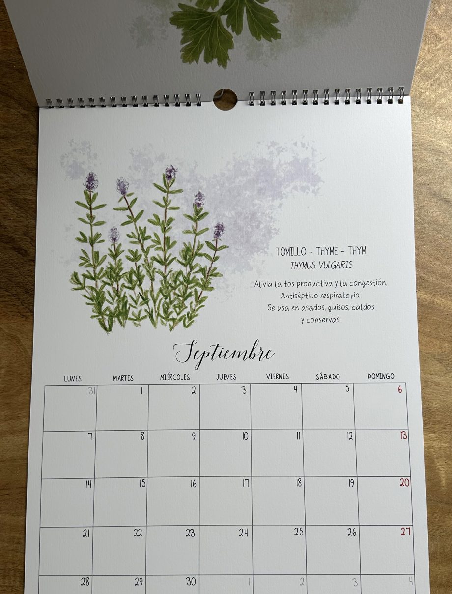 CALENDARIO DE PARED 2026. HIERBAS AROMÁTICAS.