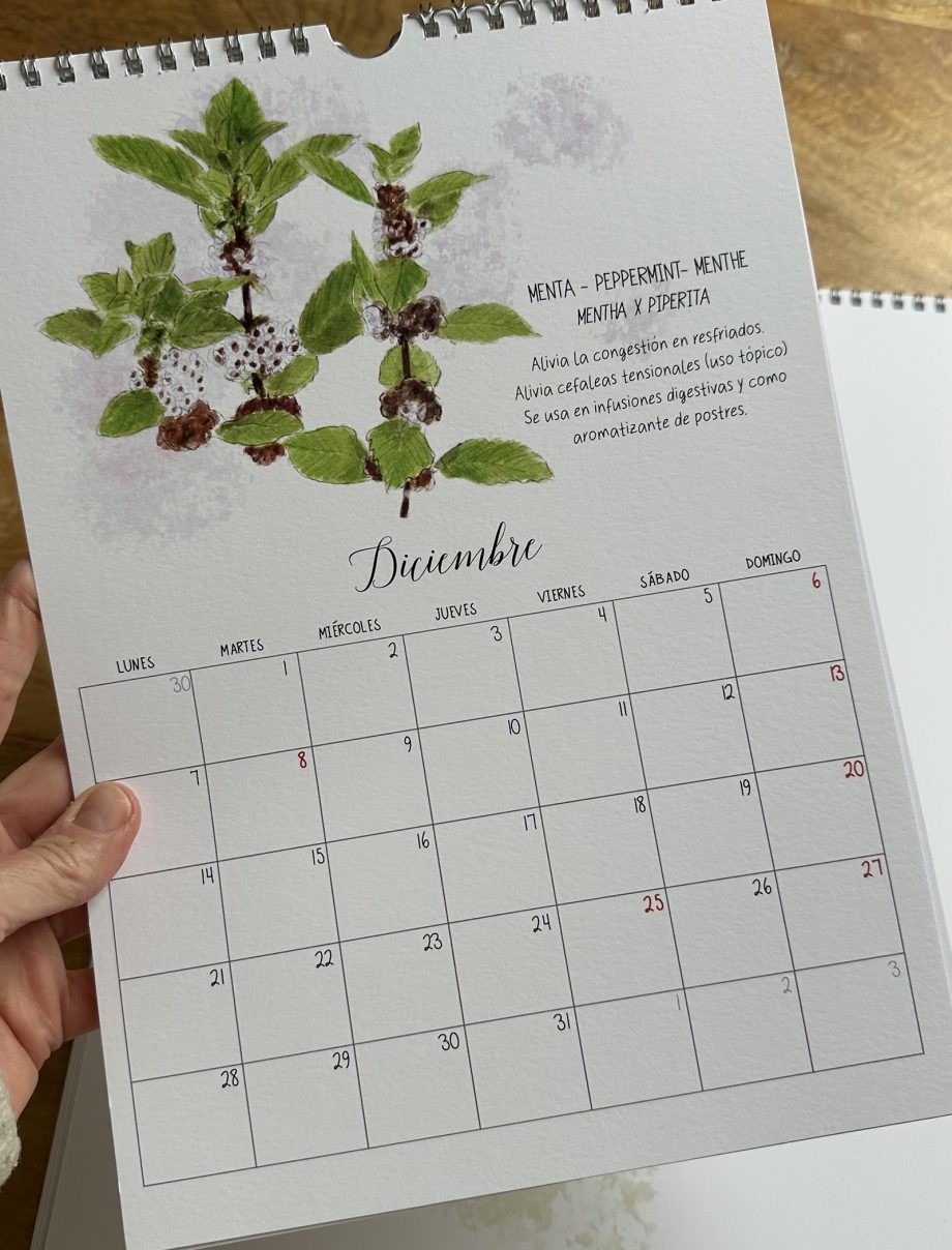 CALENDARIO DE PARED 2026. HIERBAS AROMÁTICAS.