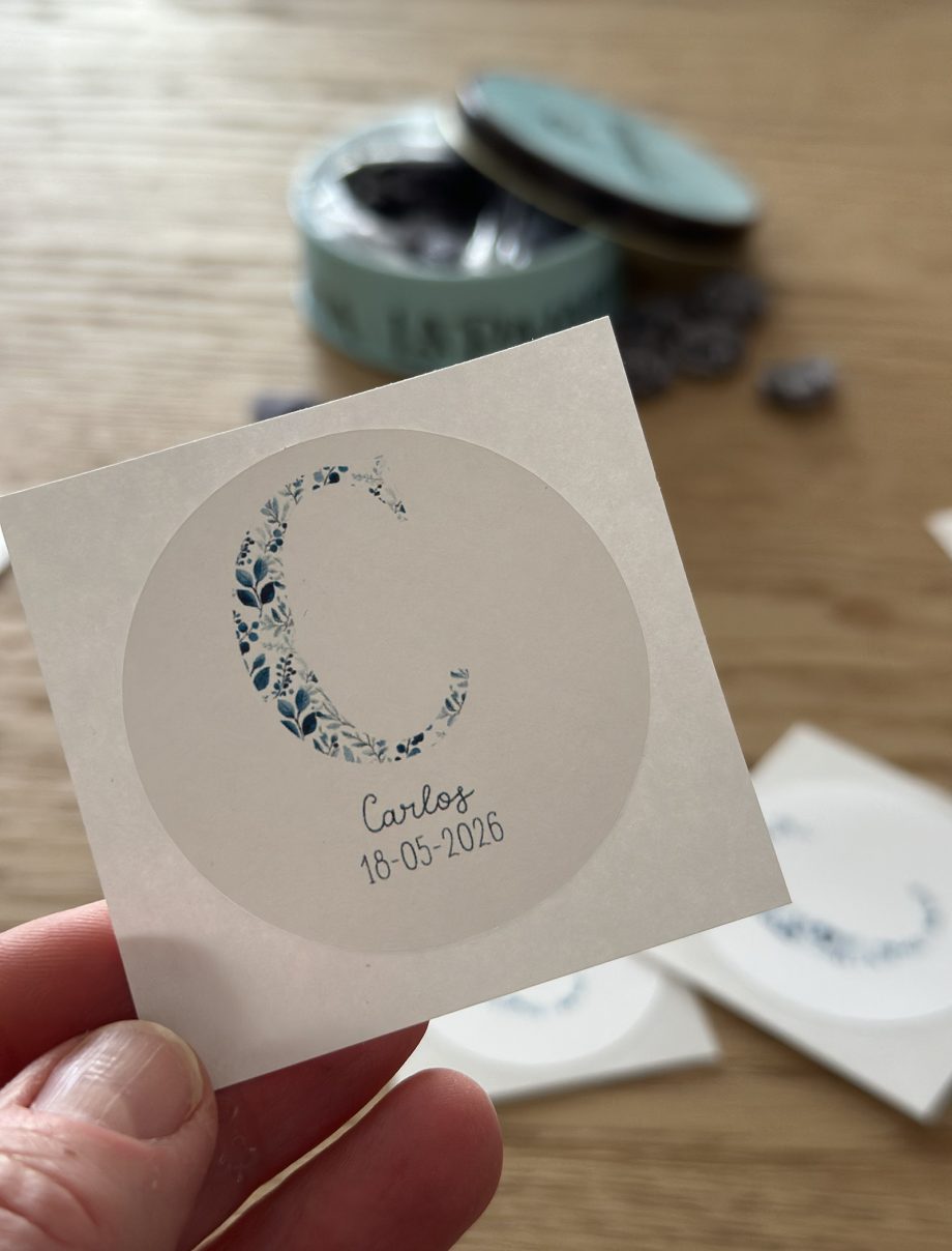 PEGATINAS colección INICIAL NATURA BLUE