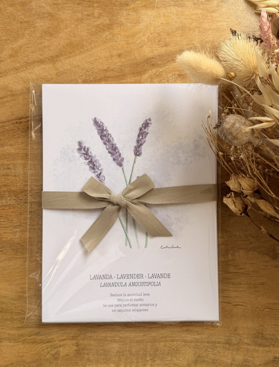 Láminas de hierbas aromáticas ilustradas