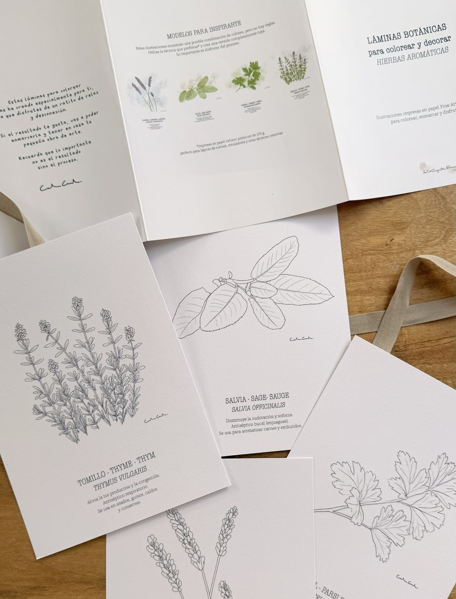 Láminas botánicas para COLOREAR | Hierbas aromáticas